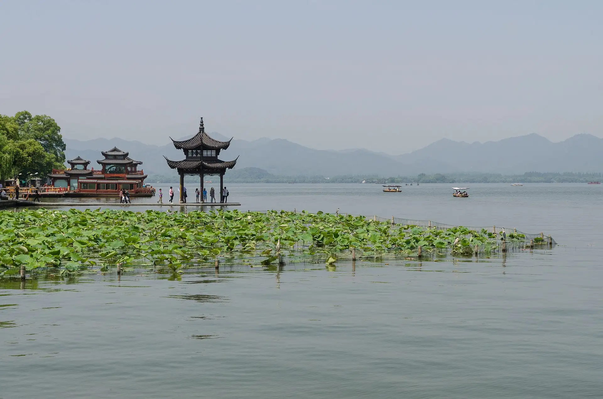 A pavilion and water lilies on West Lake, Hangzhou